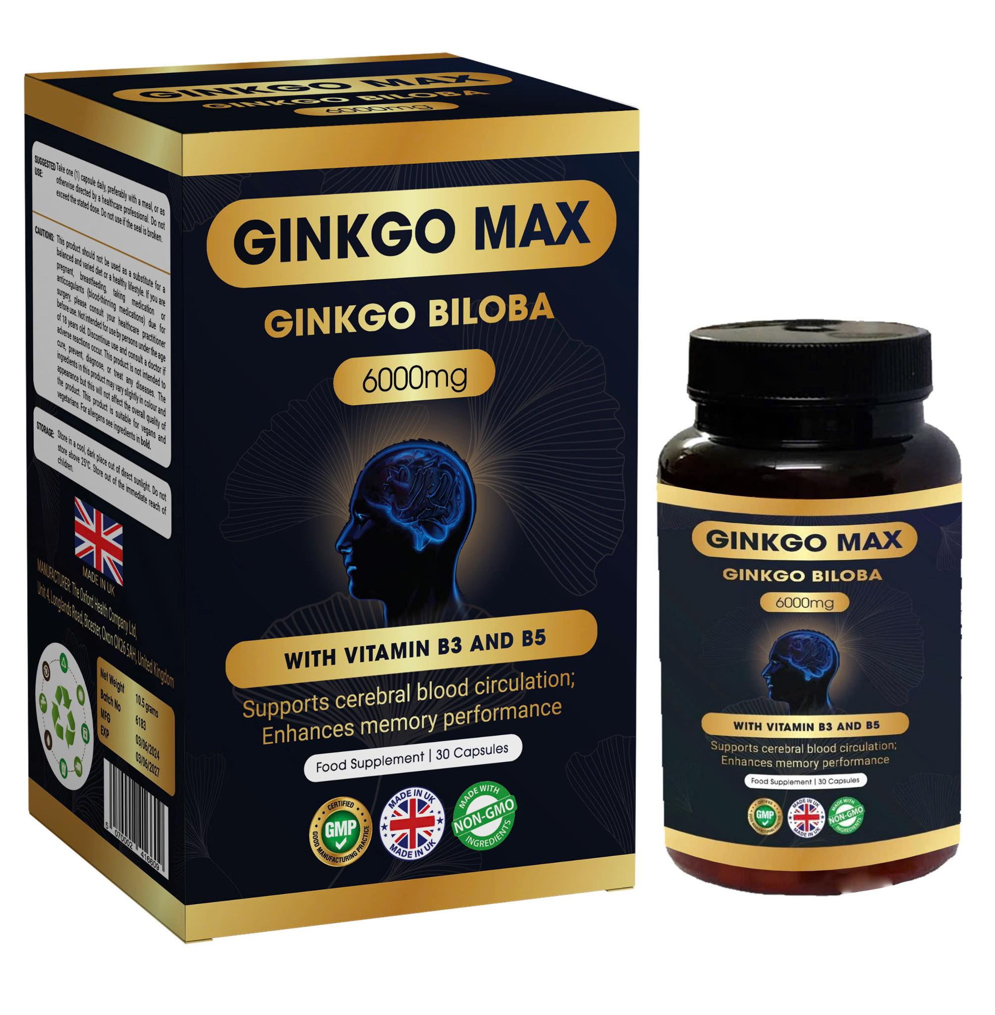 GINKGO MAX - Suy Giảm Trí Nhớ, Đột Quỵ, Alzheimer - Uống Bổ Não Ginkgo Biloba